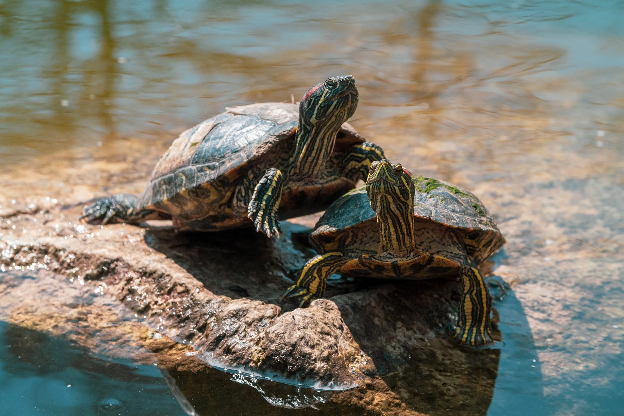 okc day 2 (4 of 10).jpg