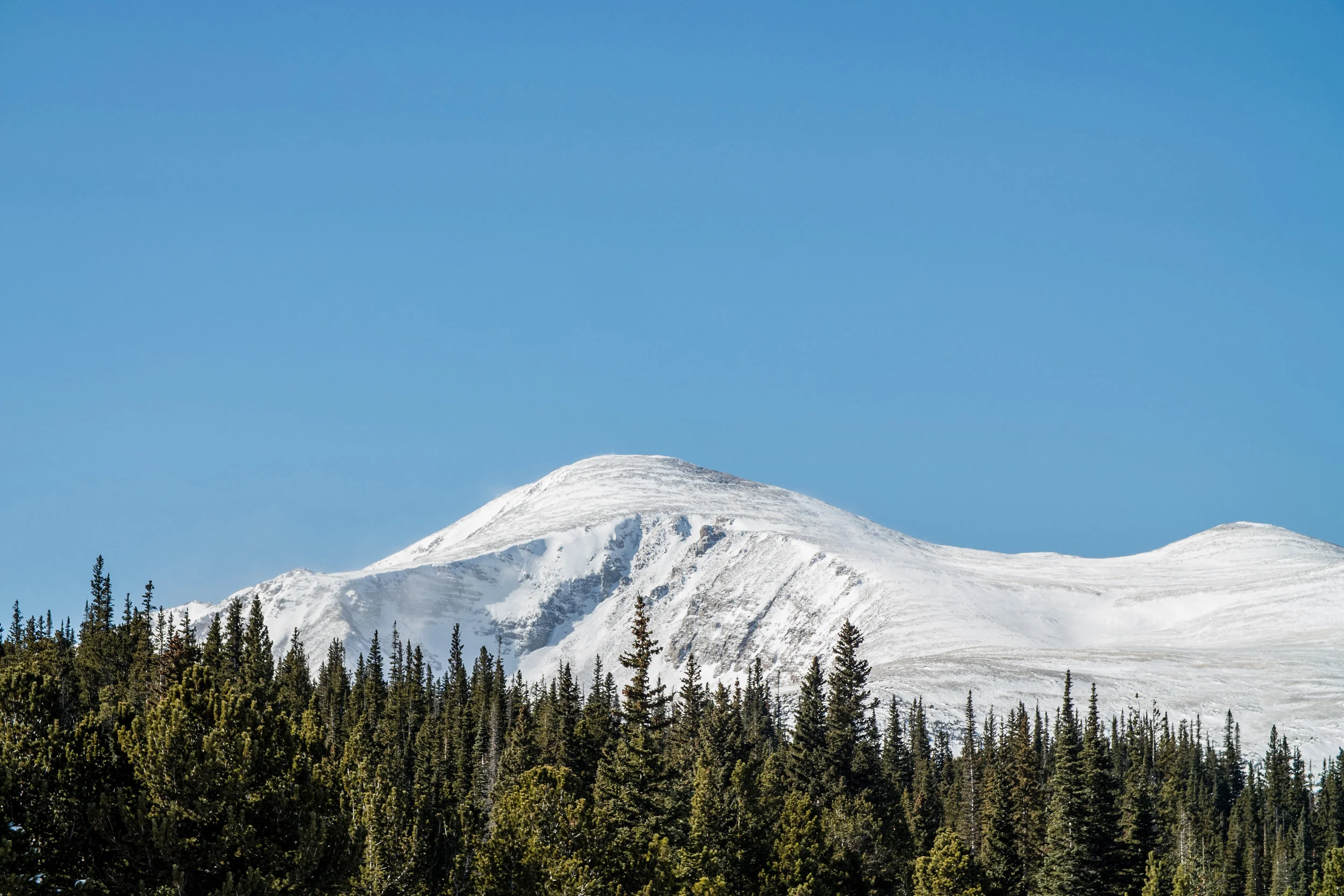 Denver Stuff-1072035.jpg