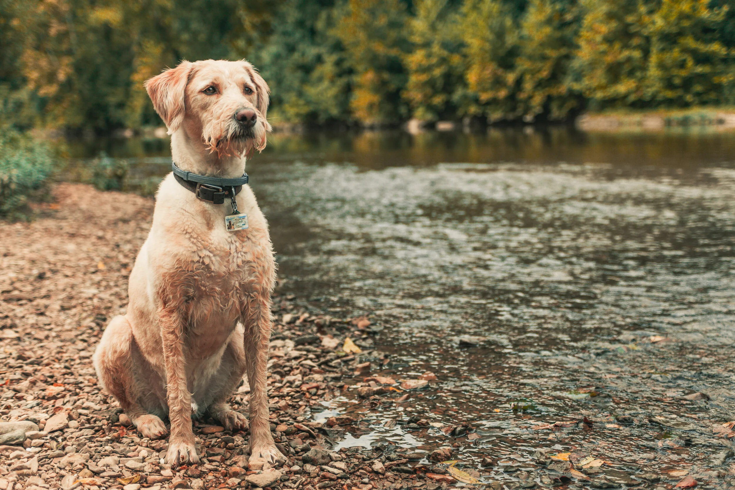 2020-08-26 George-9042.jpg