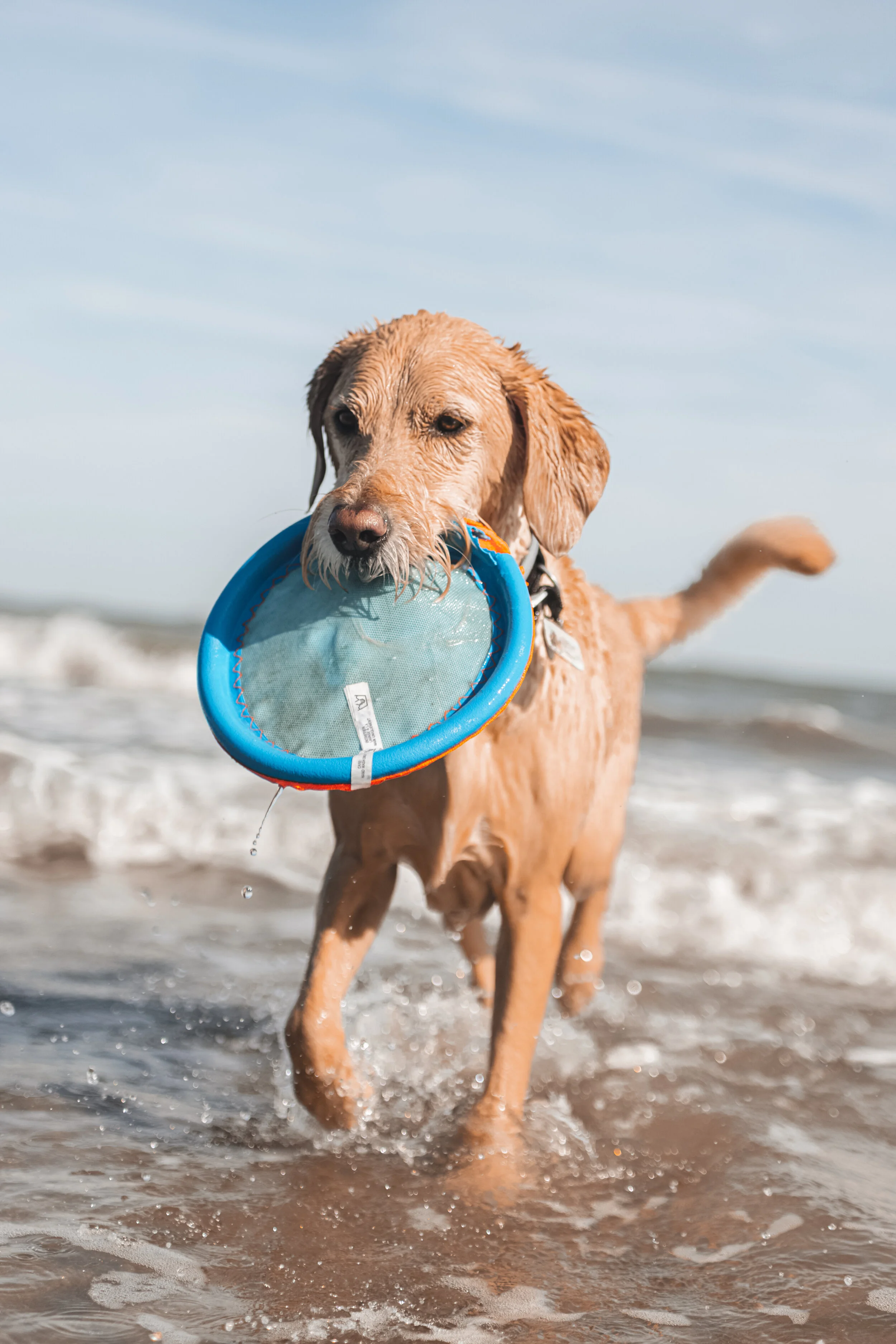 charleston (8 of 10).jpg