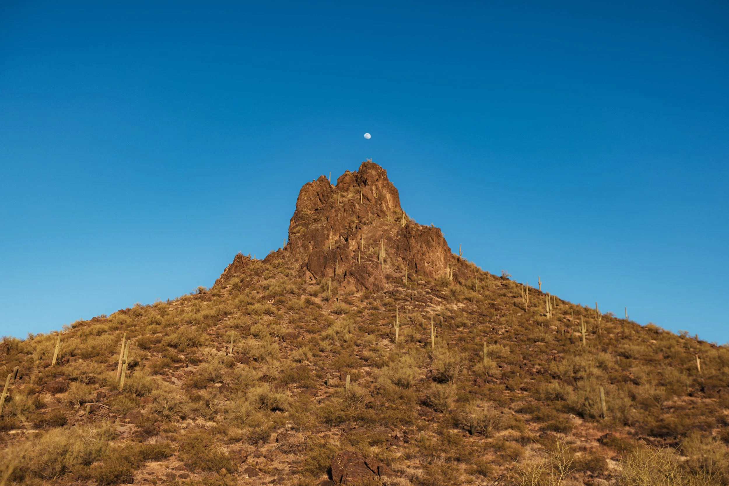 AZ 2022-05-12 (7 of 29).jpg