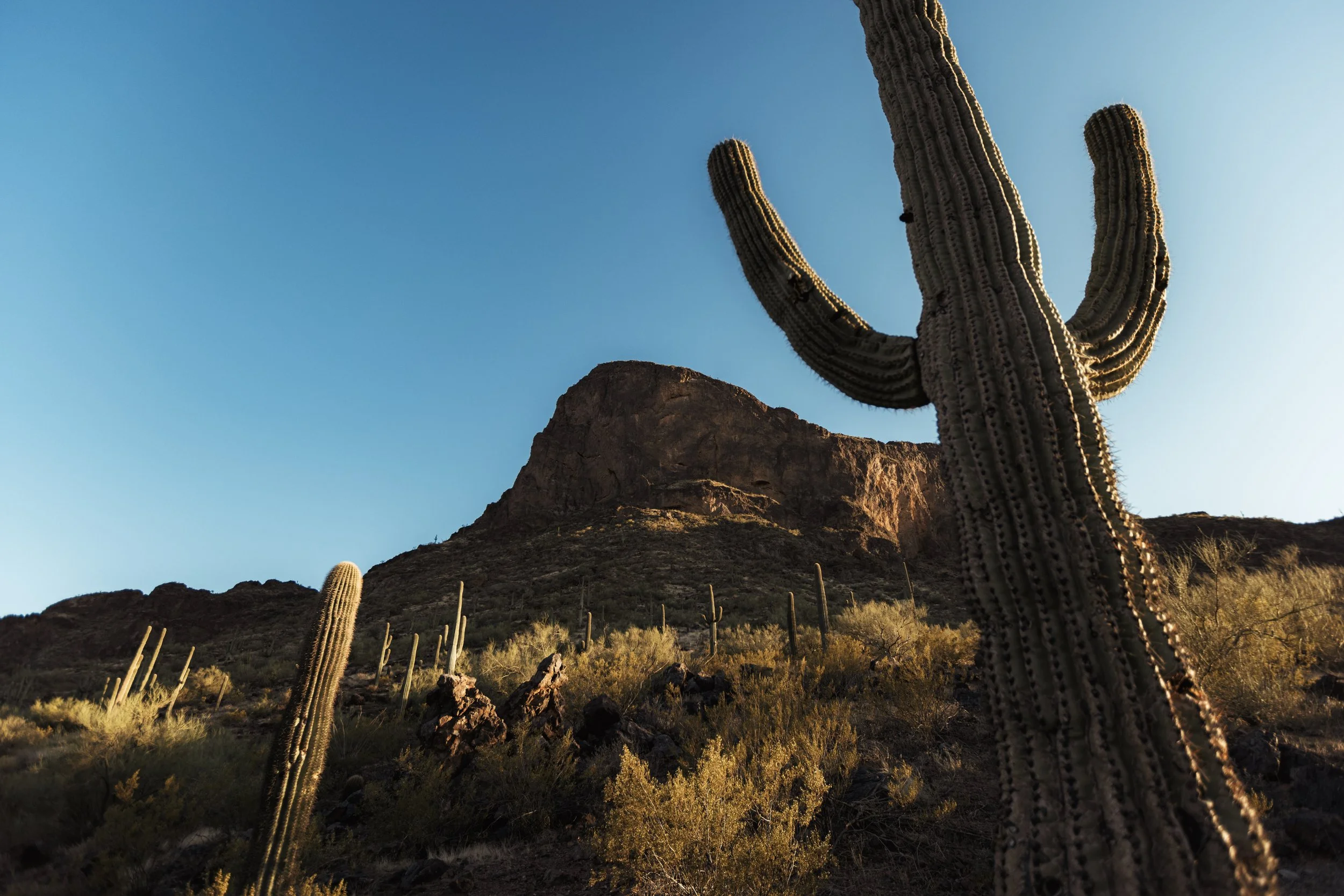 AZ 2022-05-12 (3 of 29).jpg