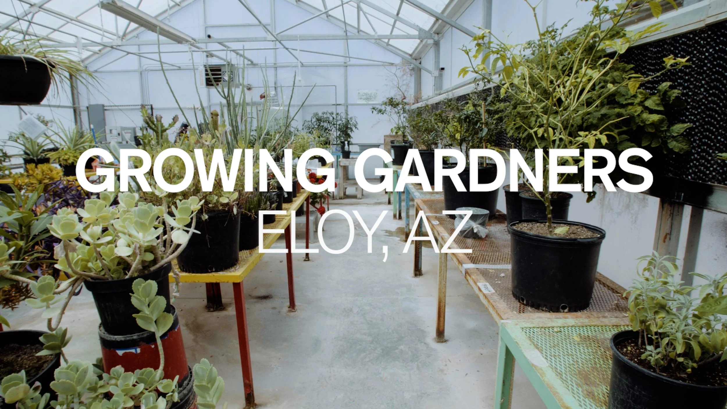 Growing Gardners in Eloy, AZ