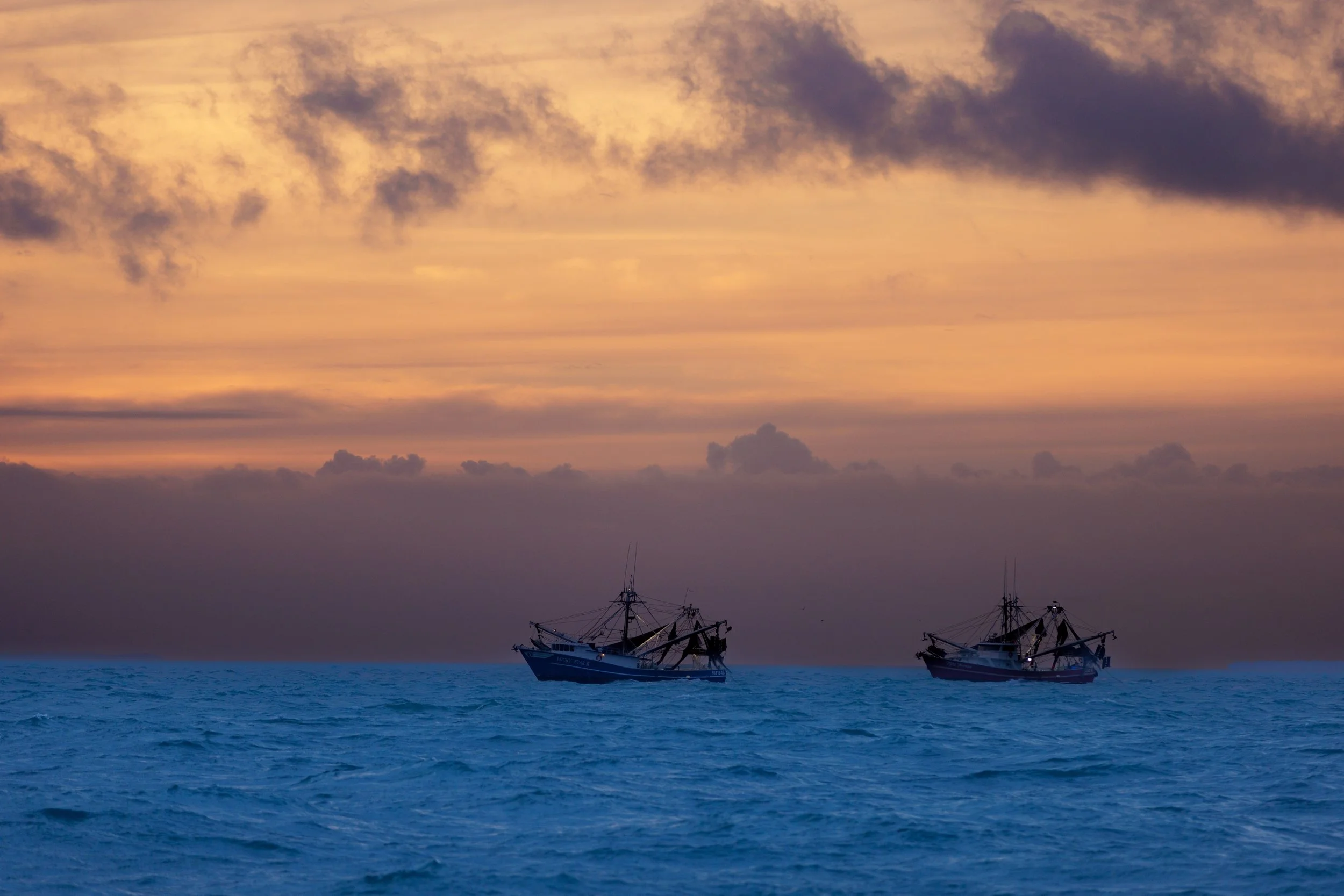 2025-05-14 The Hiningers (1 of 1).jpg