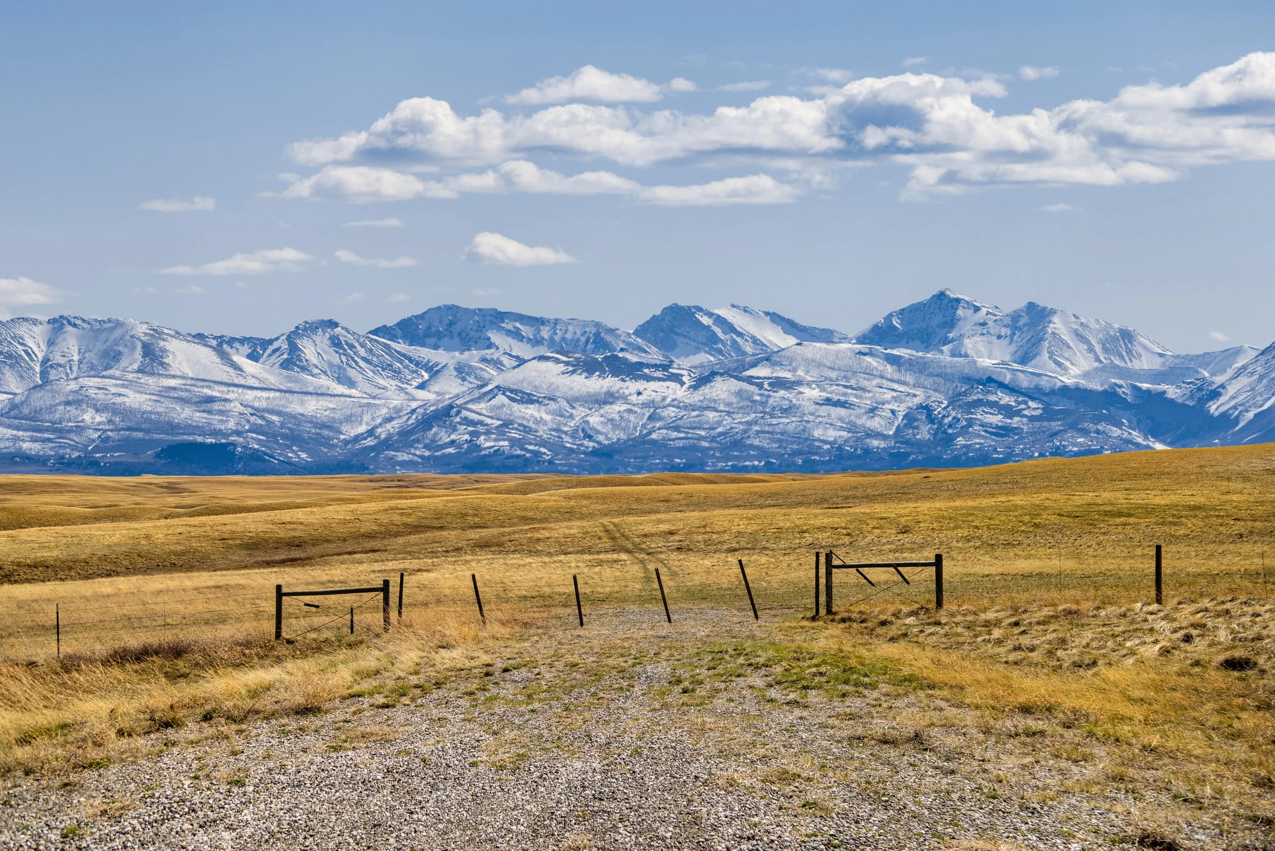 2025-04-21 Glacier National Park (28).jpg