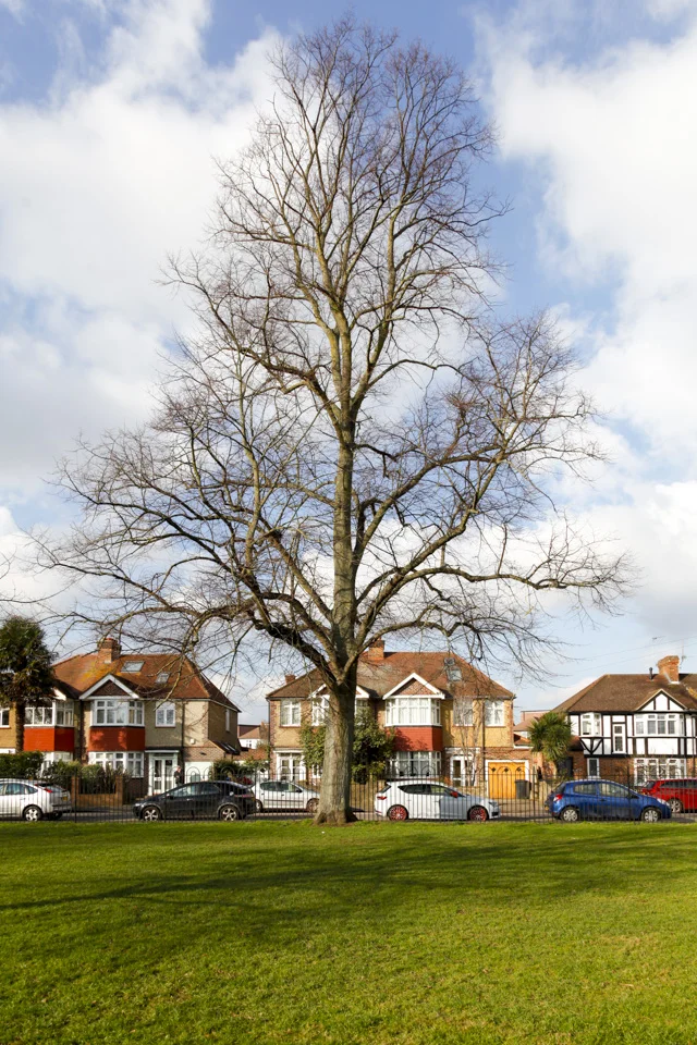 Latchmere Recreation Ground, community space in South West London