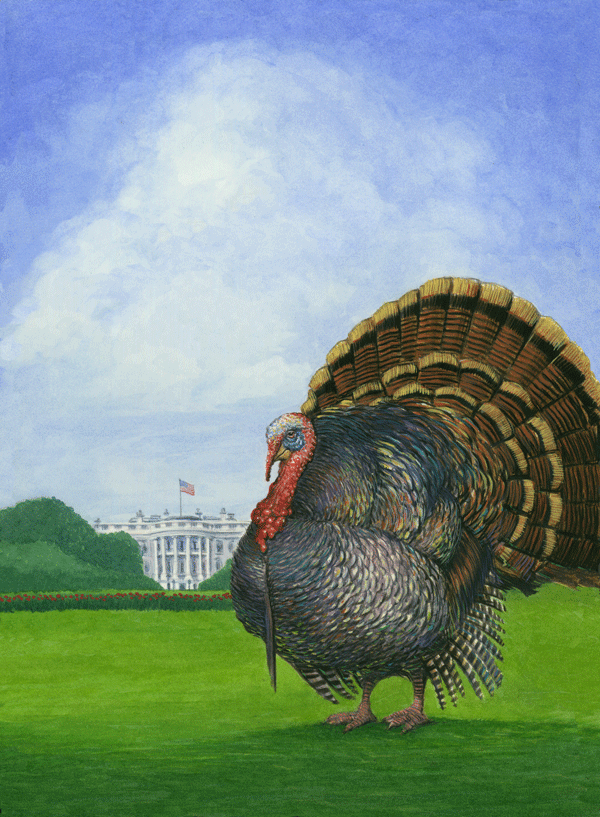 Turkey.gif