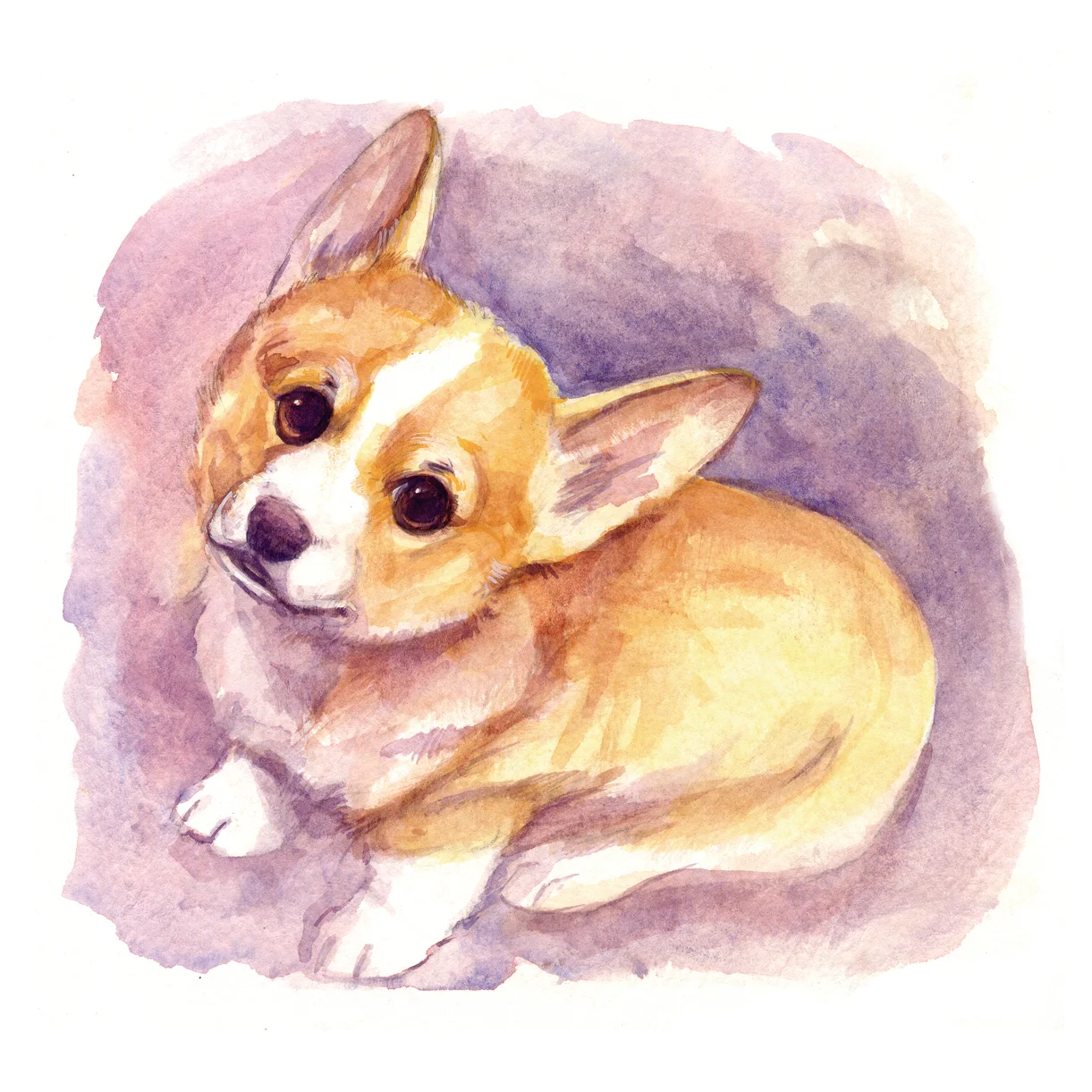 Little-Leo.jpg