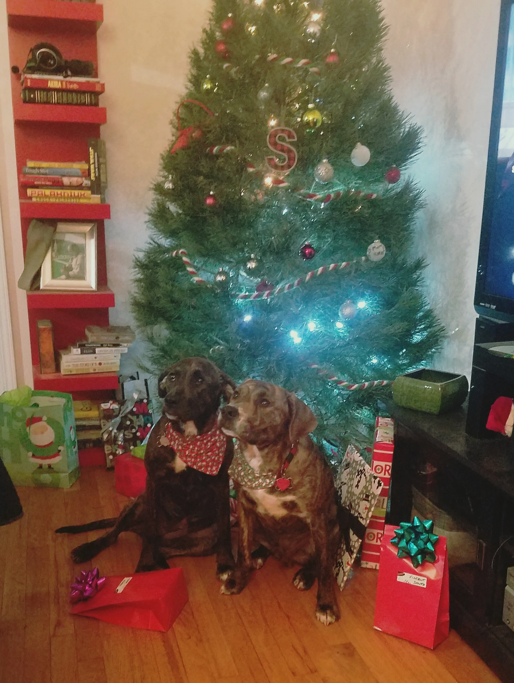 20161225_210903.jpg