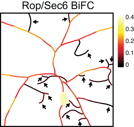 Rop-Sec6.png