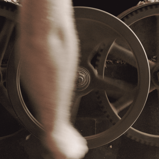 gears.gif