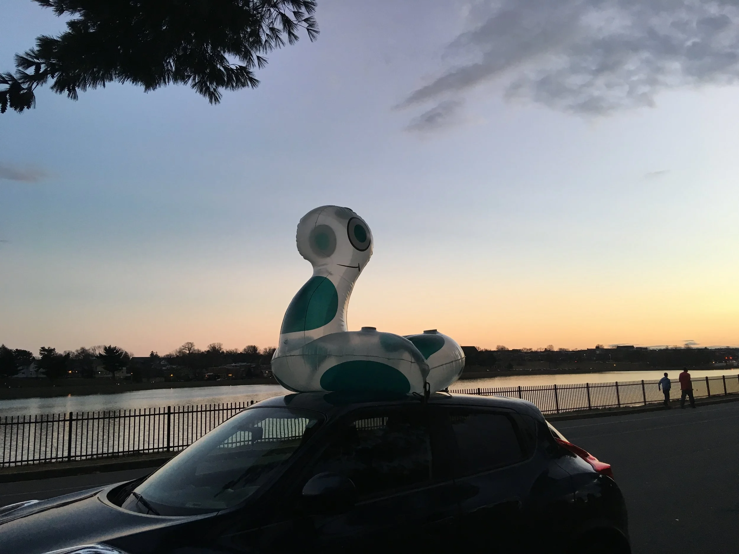 Herd's Day Out - Light City Opening 