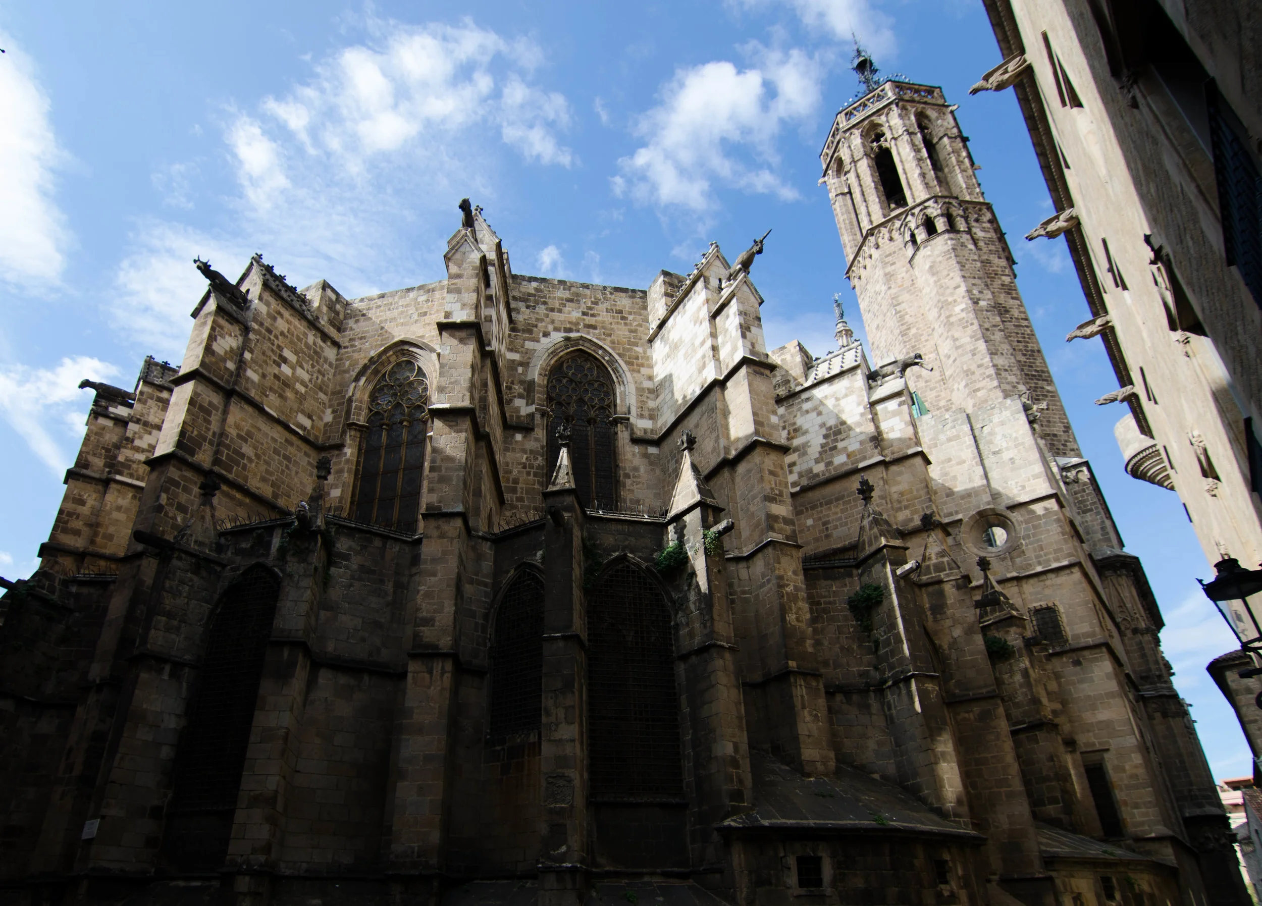 DSC_0725.jpg