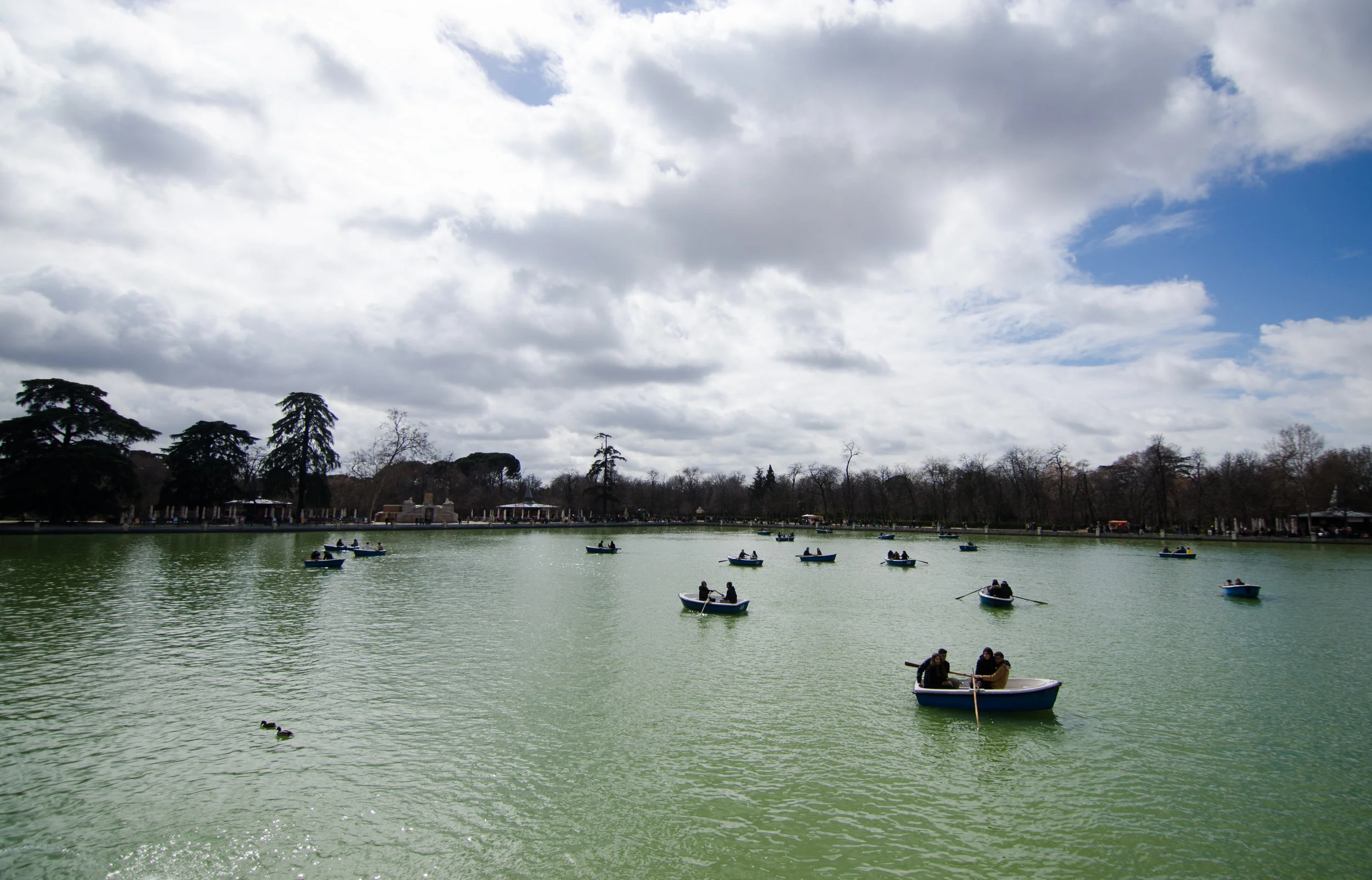 DSC_8653.JPG