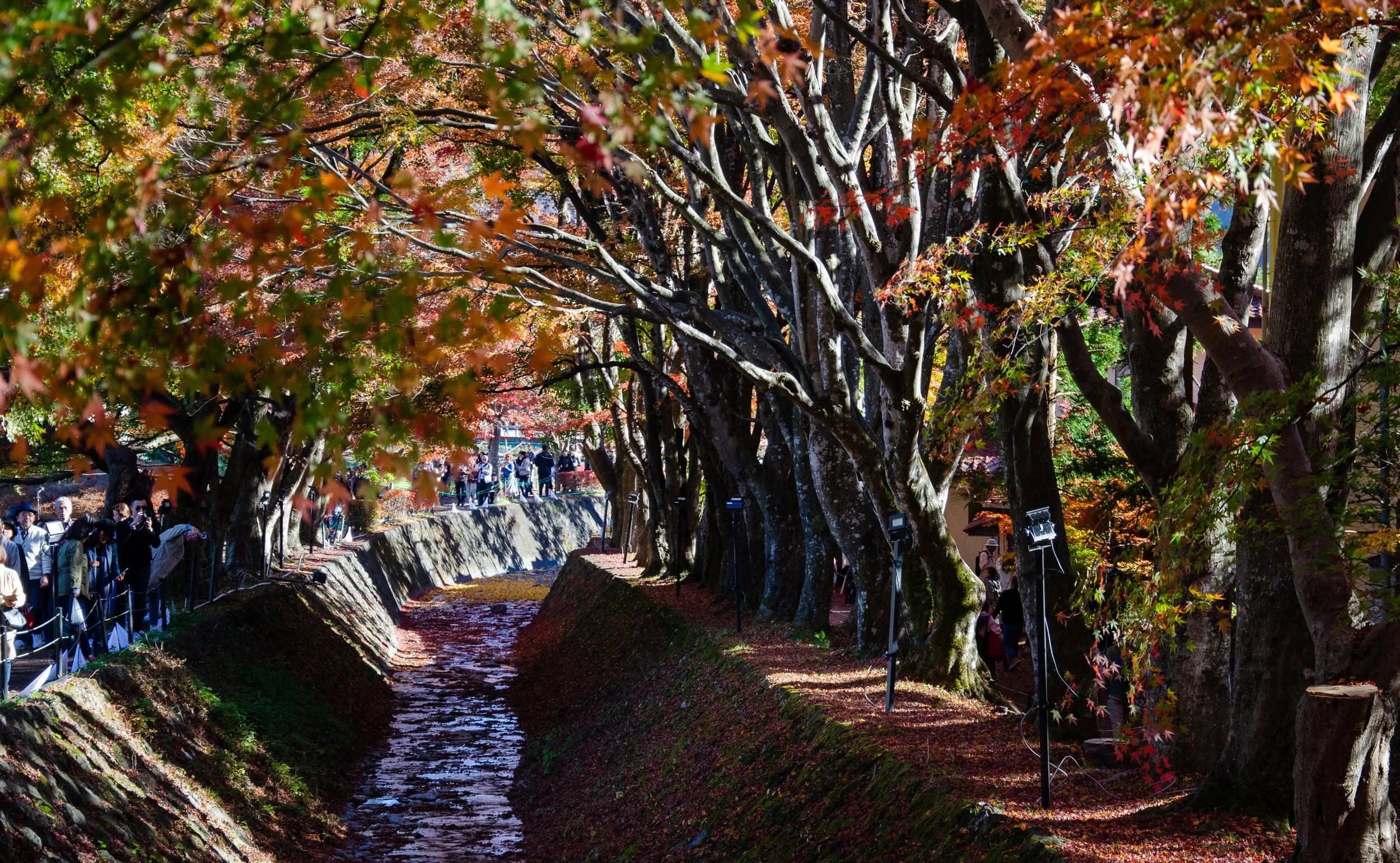 DSC_7689.jpg