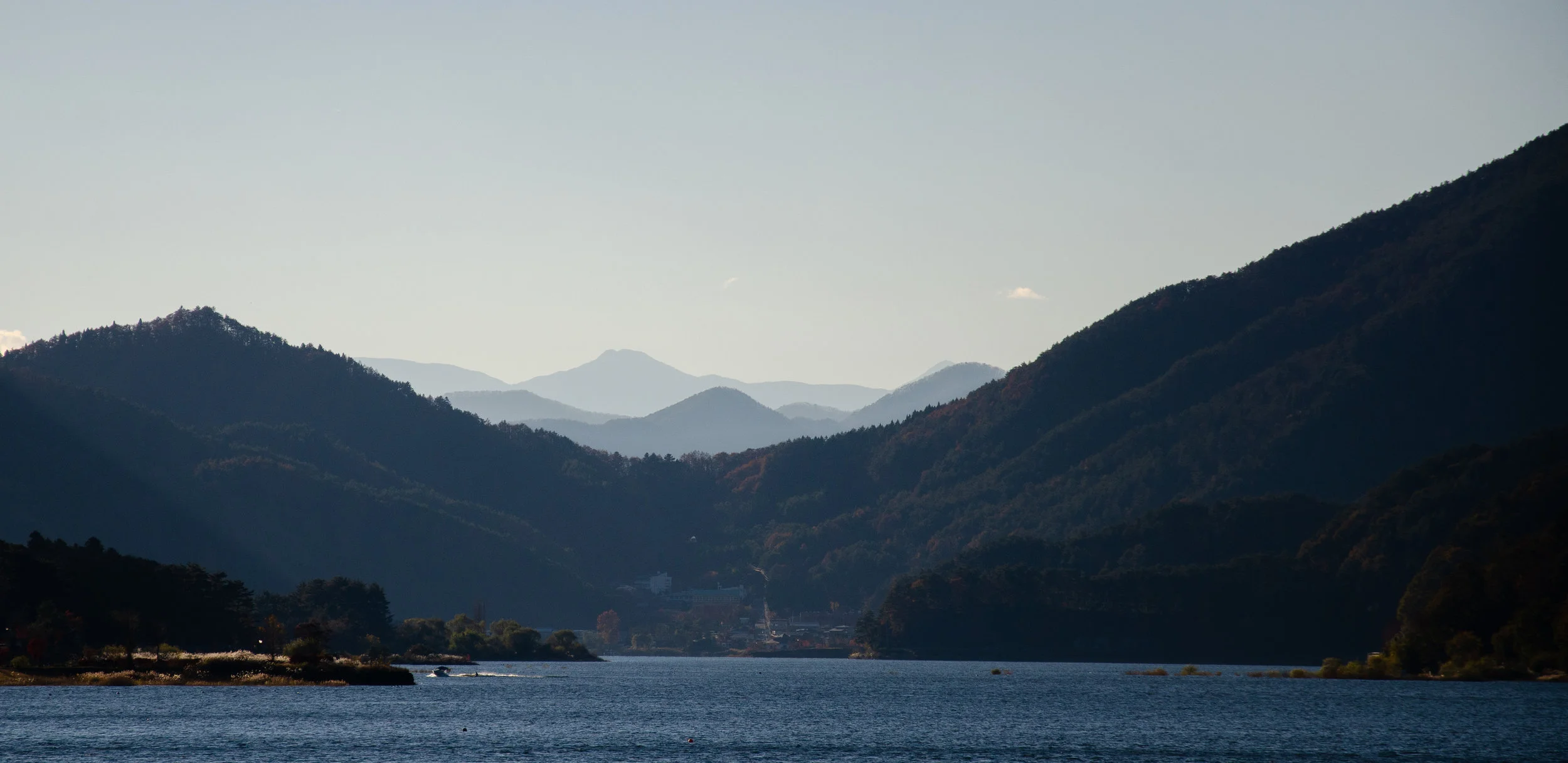 DSC_7729.jpg
