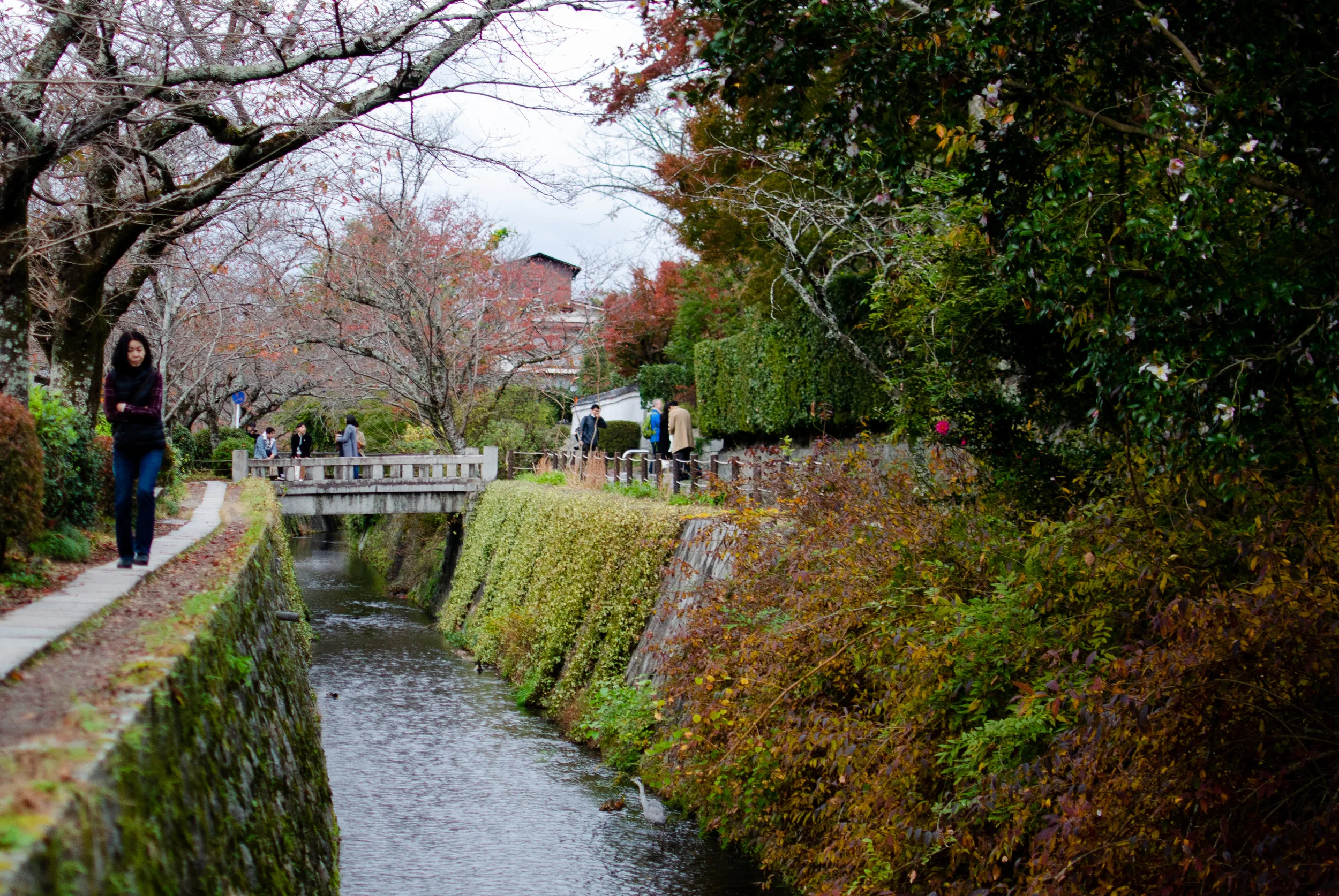 DSC_8542.jpg