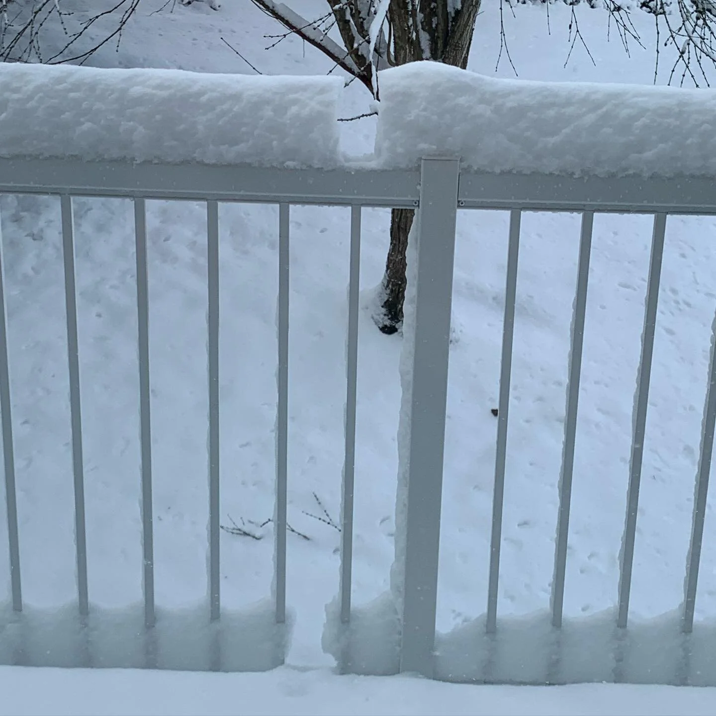 When you work from home it&rsquo;s hard to tell your boss (yourself) that it&rsquo;s too snowy to come into work today&hellip; #nosnowdayforyou