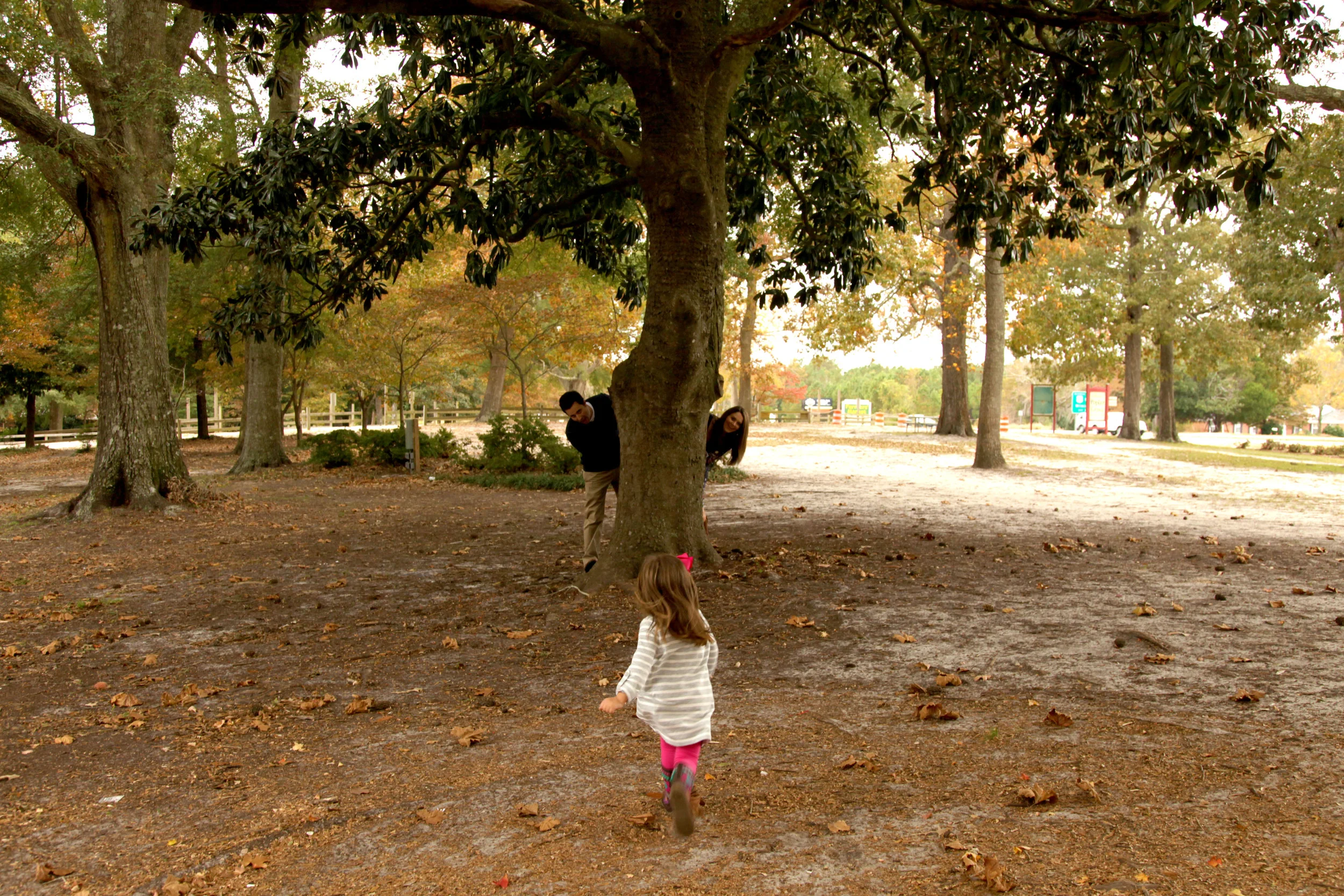 IMG_4396ps.jpg
