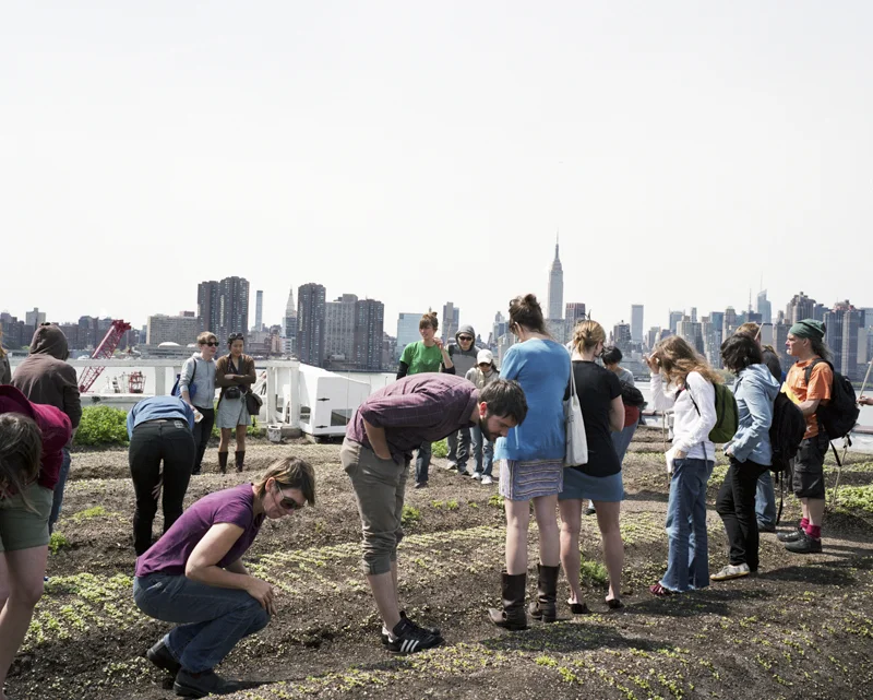 eagle street rooftop farm - Brooklyn, New York