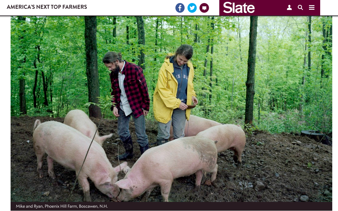 slate_blog.png