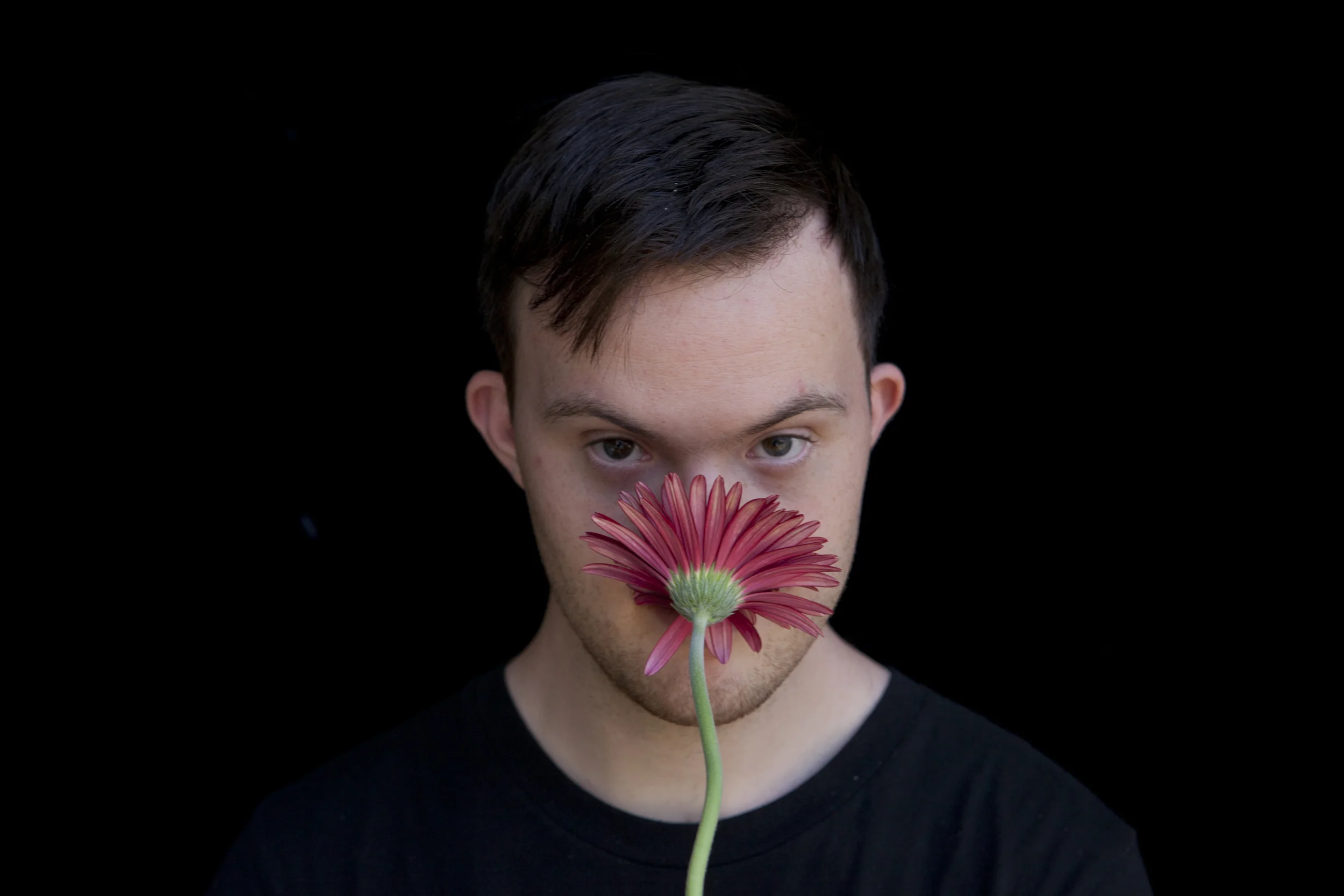 modfarm_roses_-3857.jpg