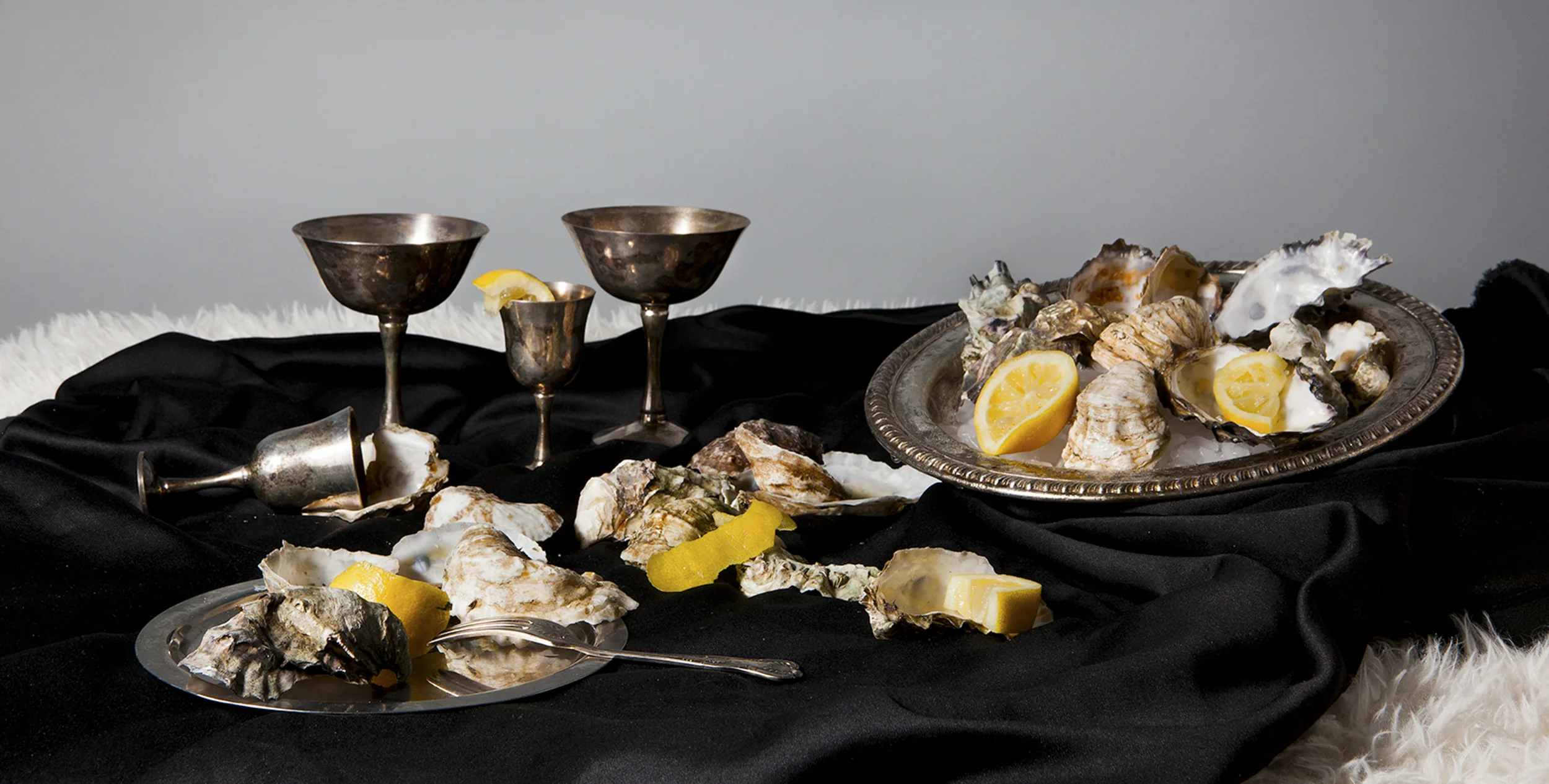 Oyster shells rescued from restaurant Maison Premiere in Brooklyn by Billion Oyster Project to be reseeded to restore oyster beds in New York Harbor.