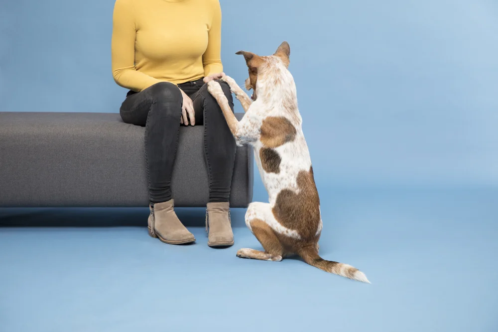 bark-183.jpg