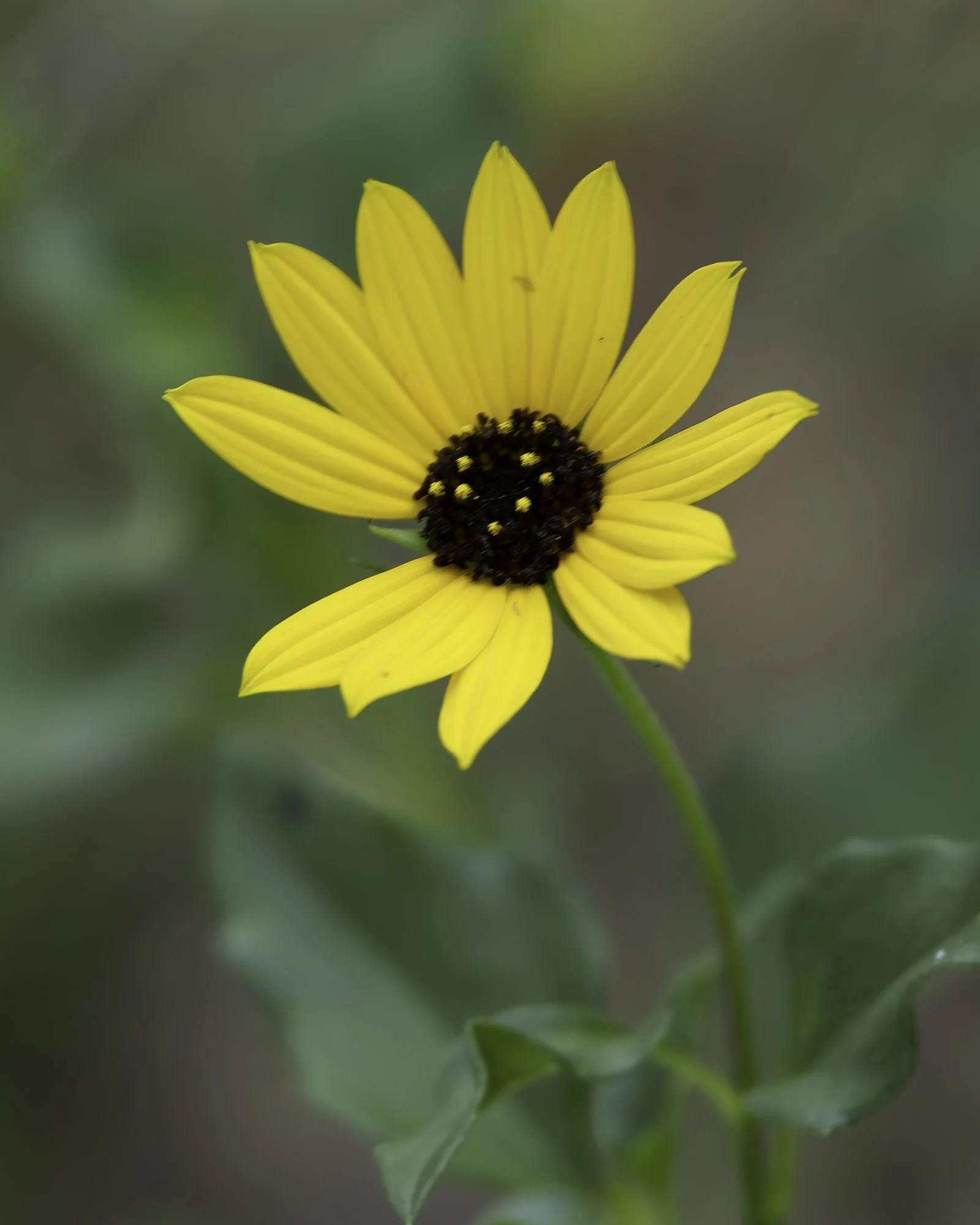 280A3242-Edit.jpg