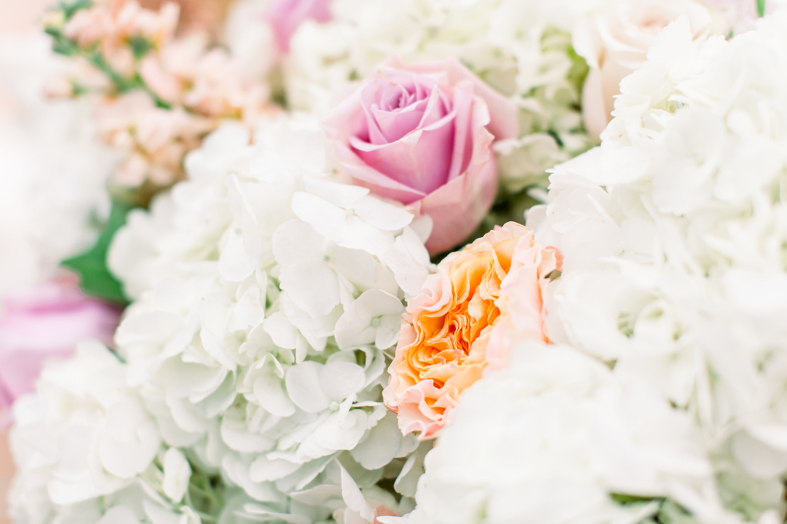 ClaudiaandJoseReception-565.jpg