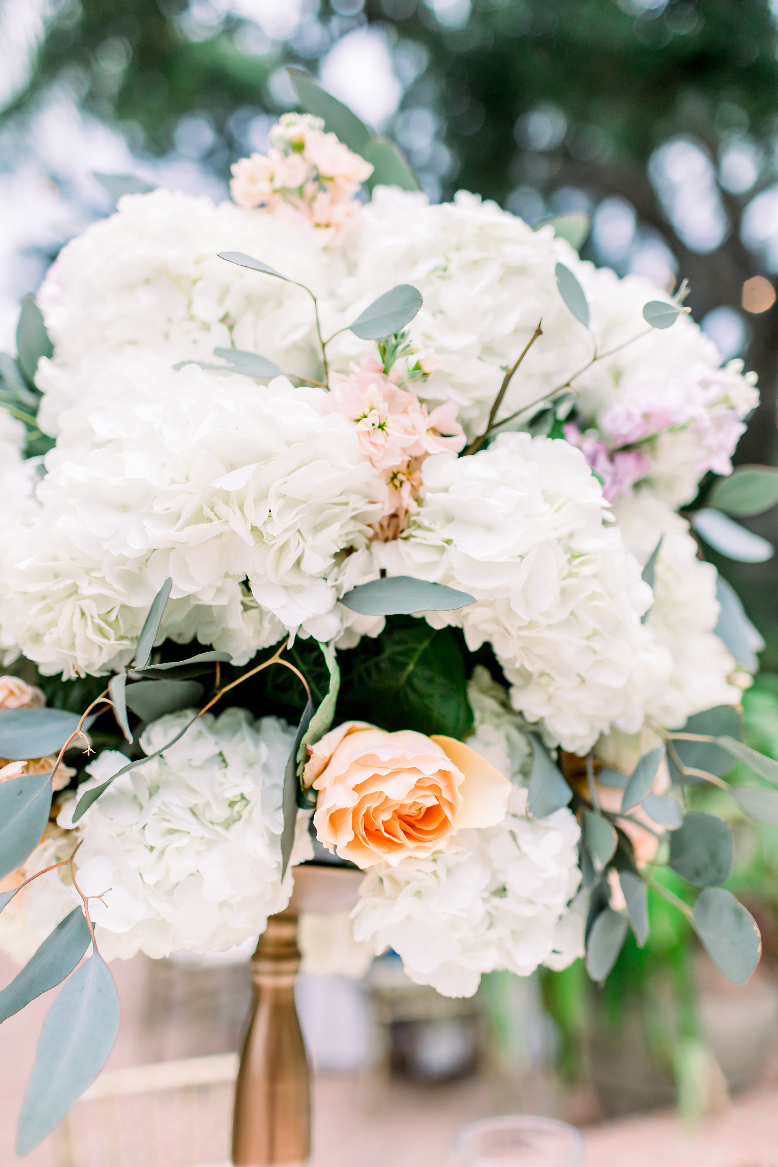 ClaudiaandJoseReception-18.jpg