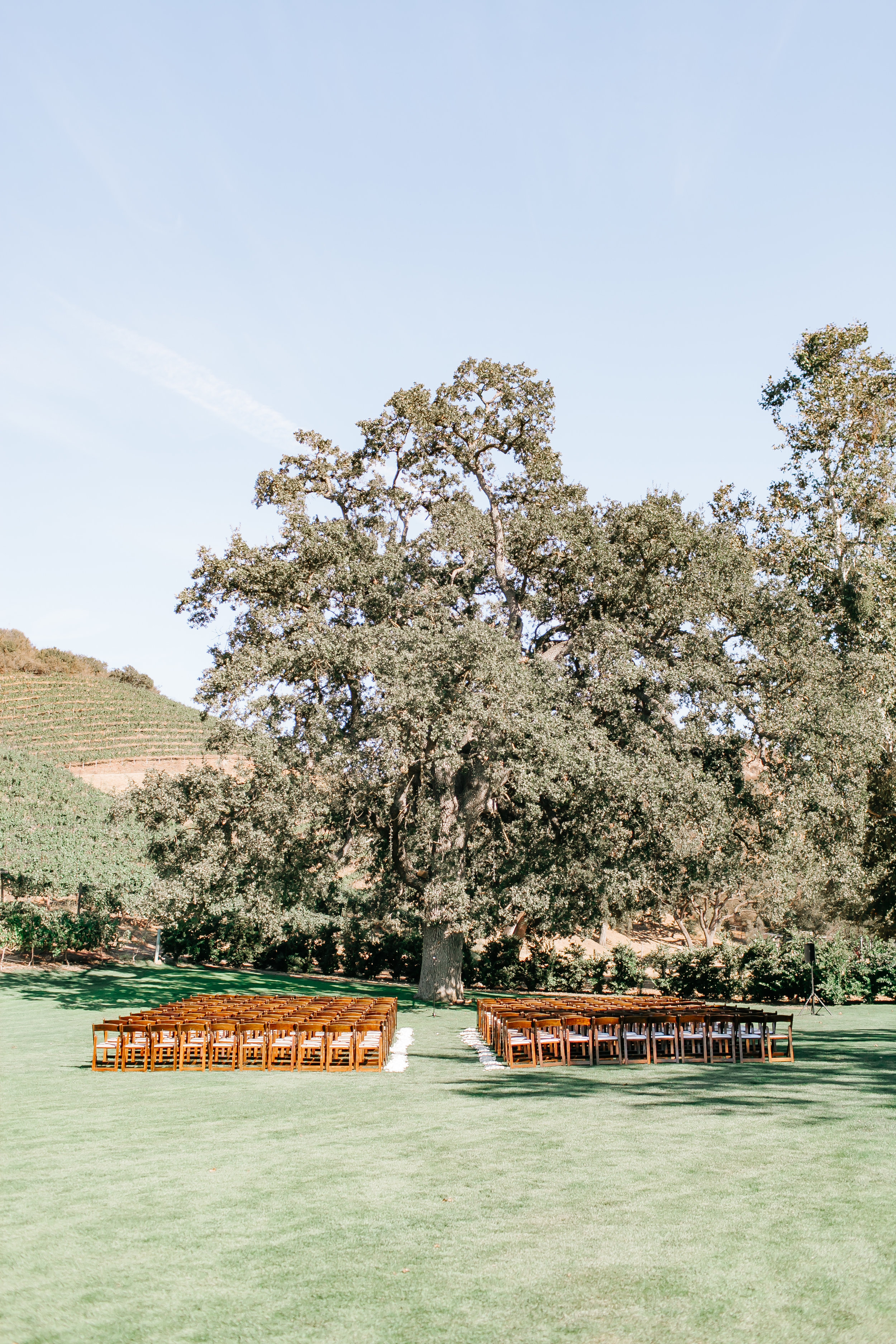 Ceremony-402.jpg