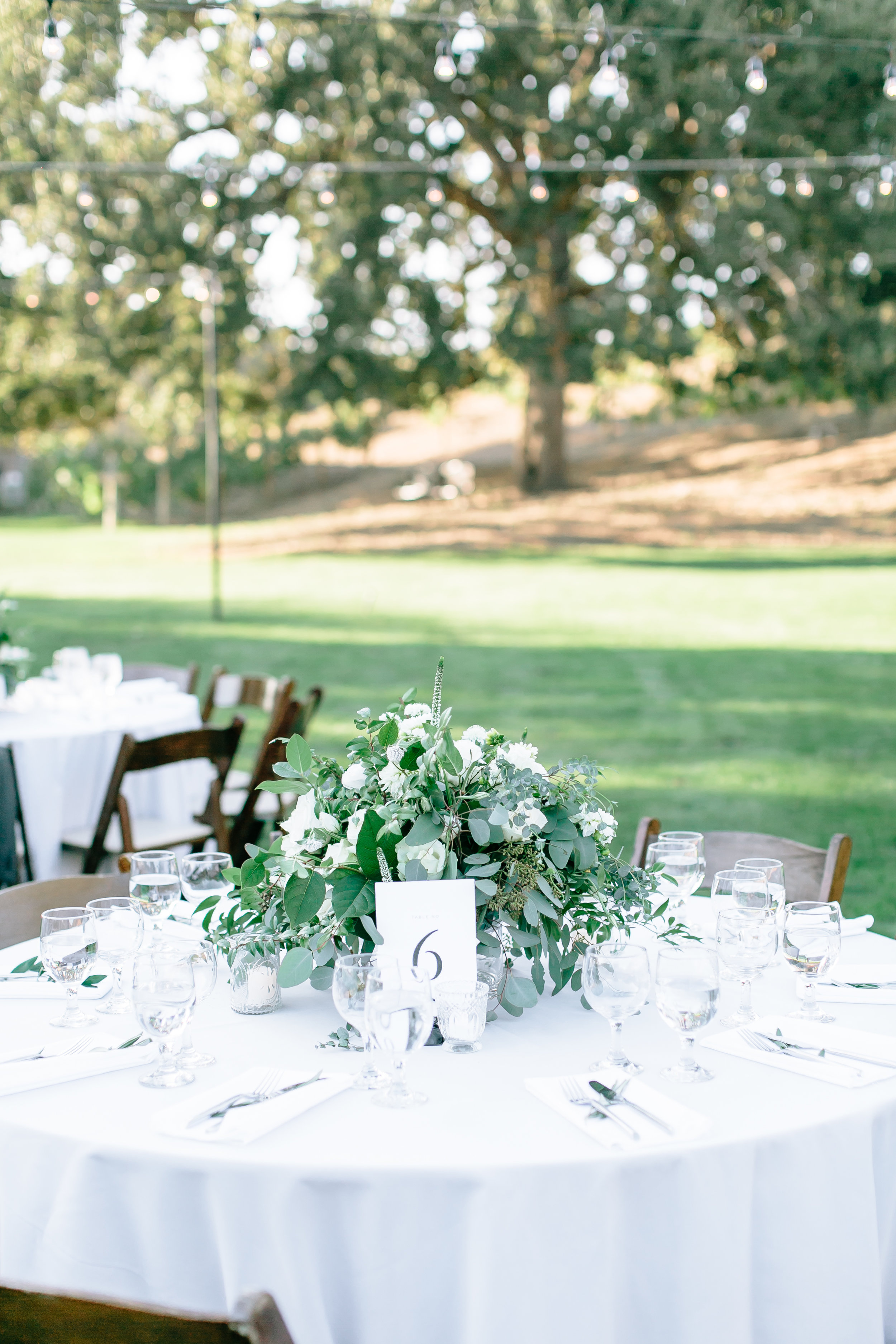 Reception-32.jpg