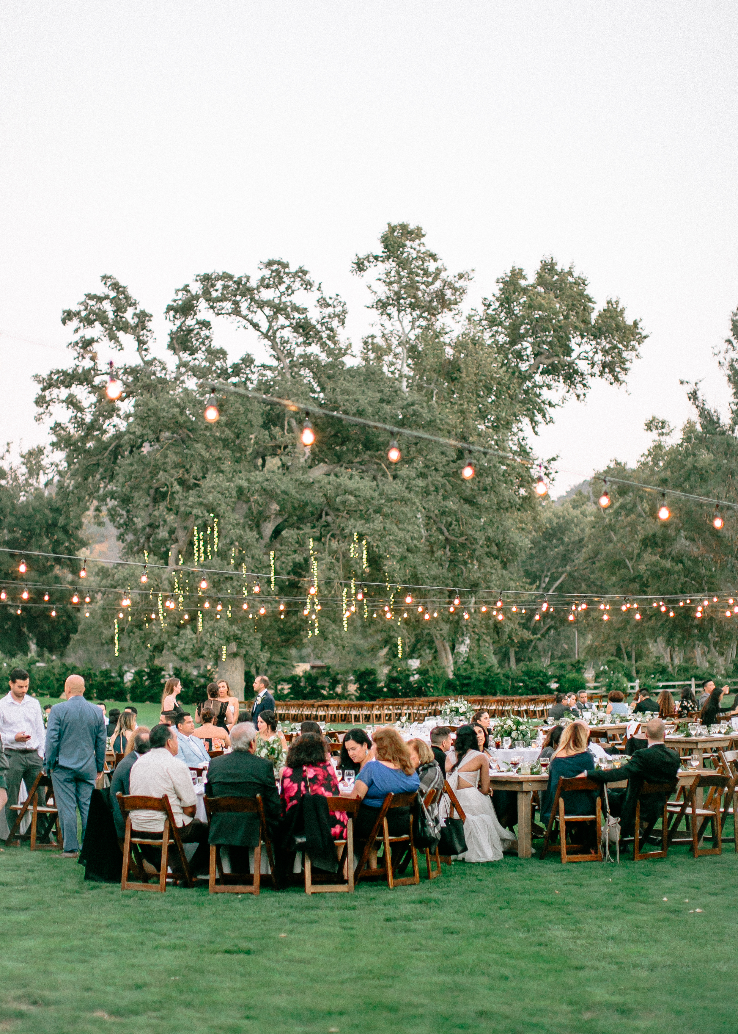 Reception-136.jpg