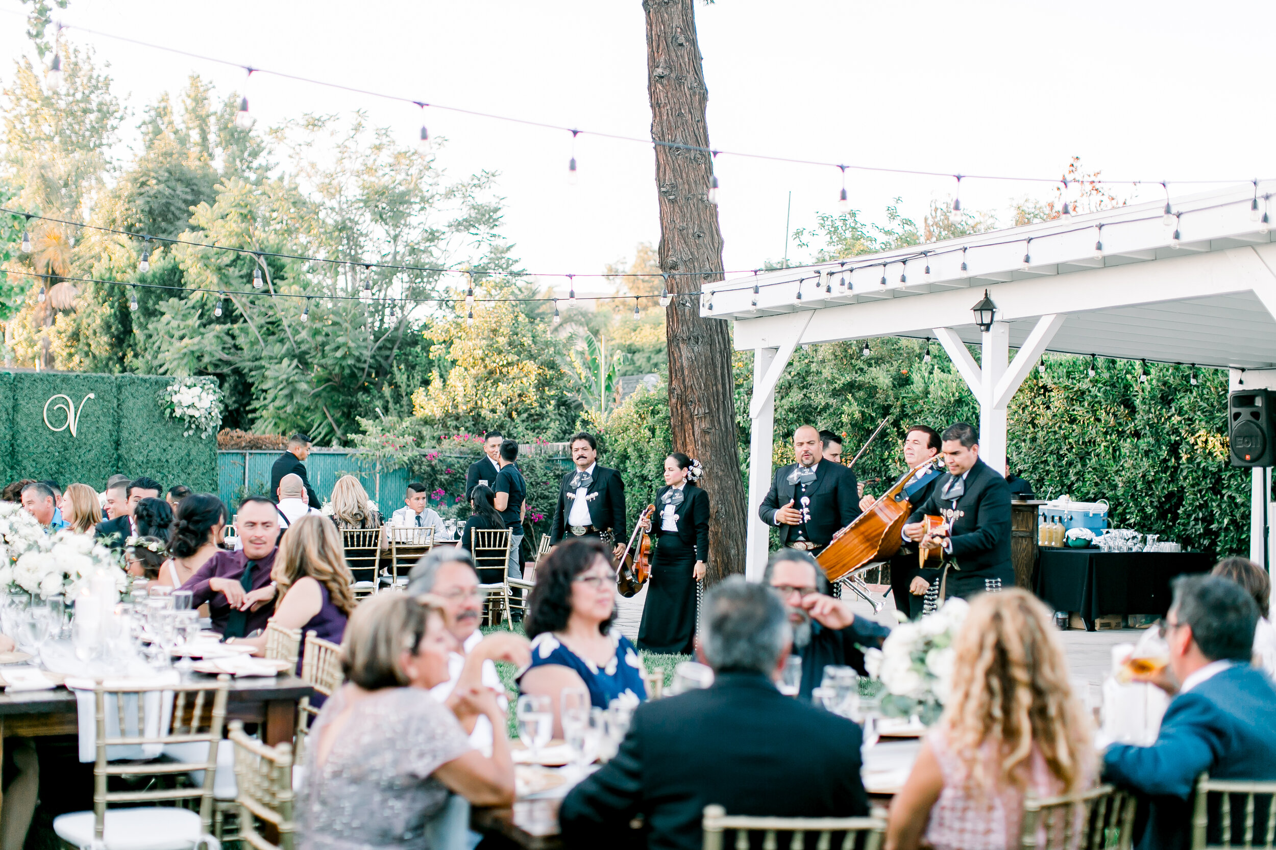 CandZReception-126.jpg