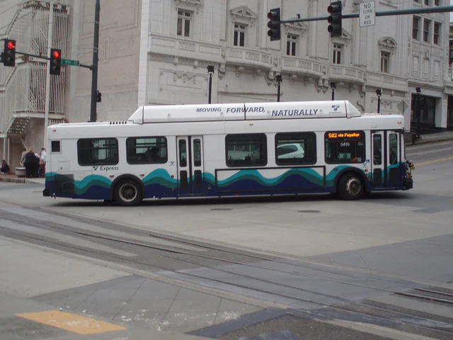 bus.jpeg