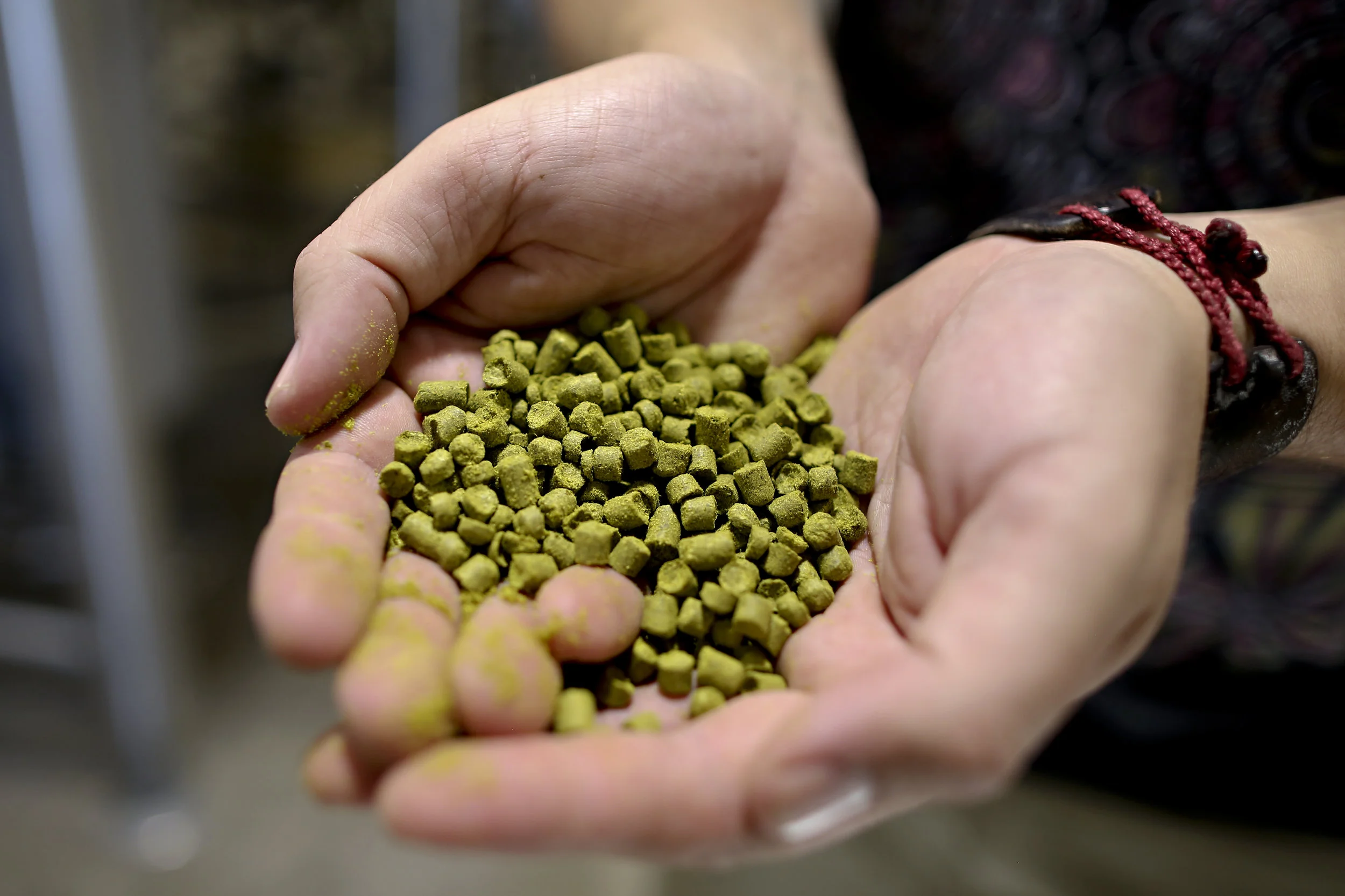 TheShopBeerCo_Brewing_3.jpg