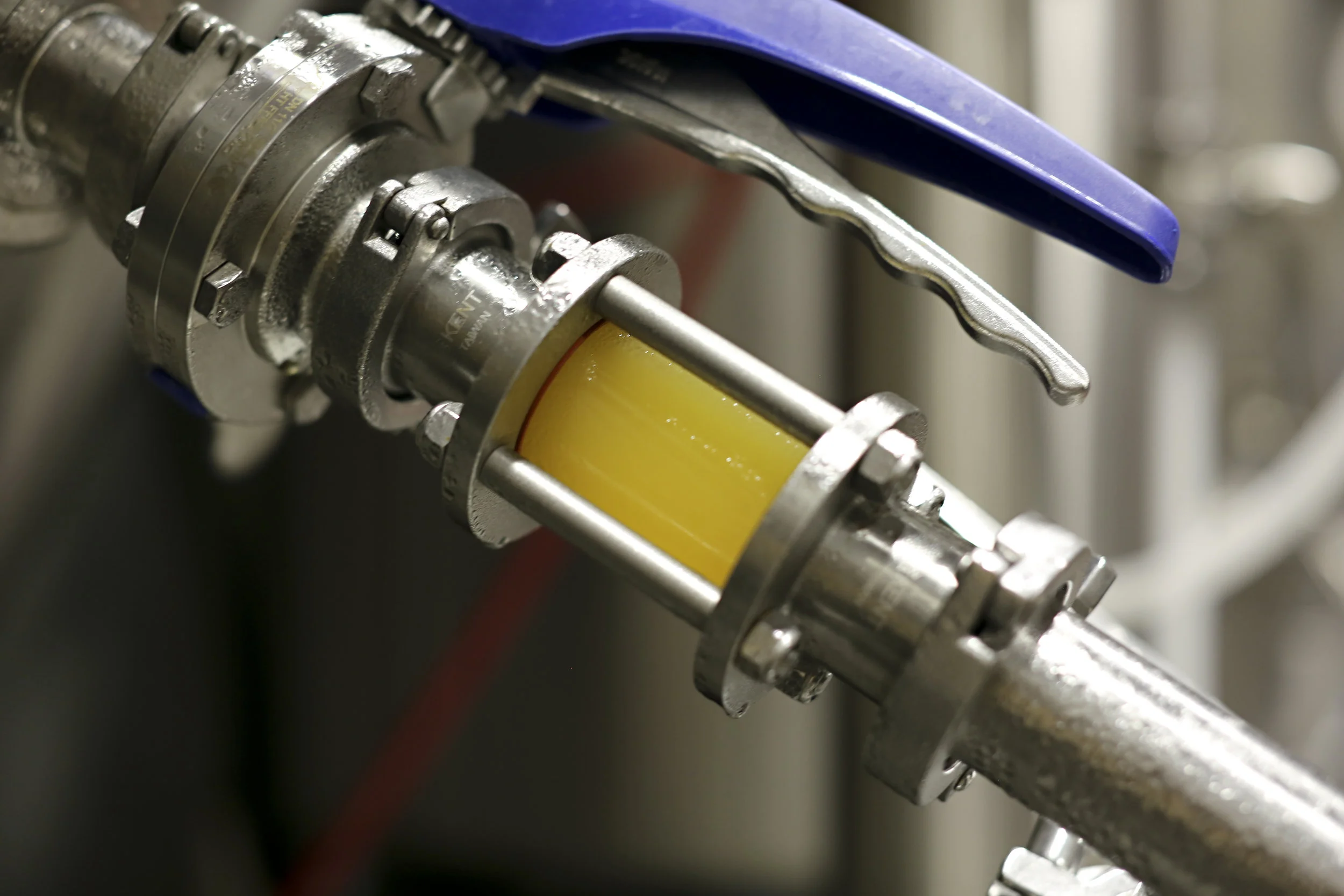 TheShopBeerCo_BeerTransfer_BingoBangoBongo_2.jpg