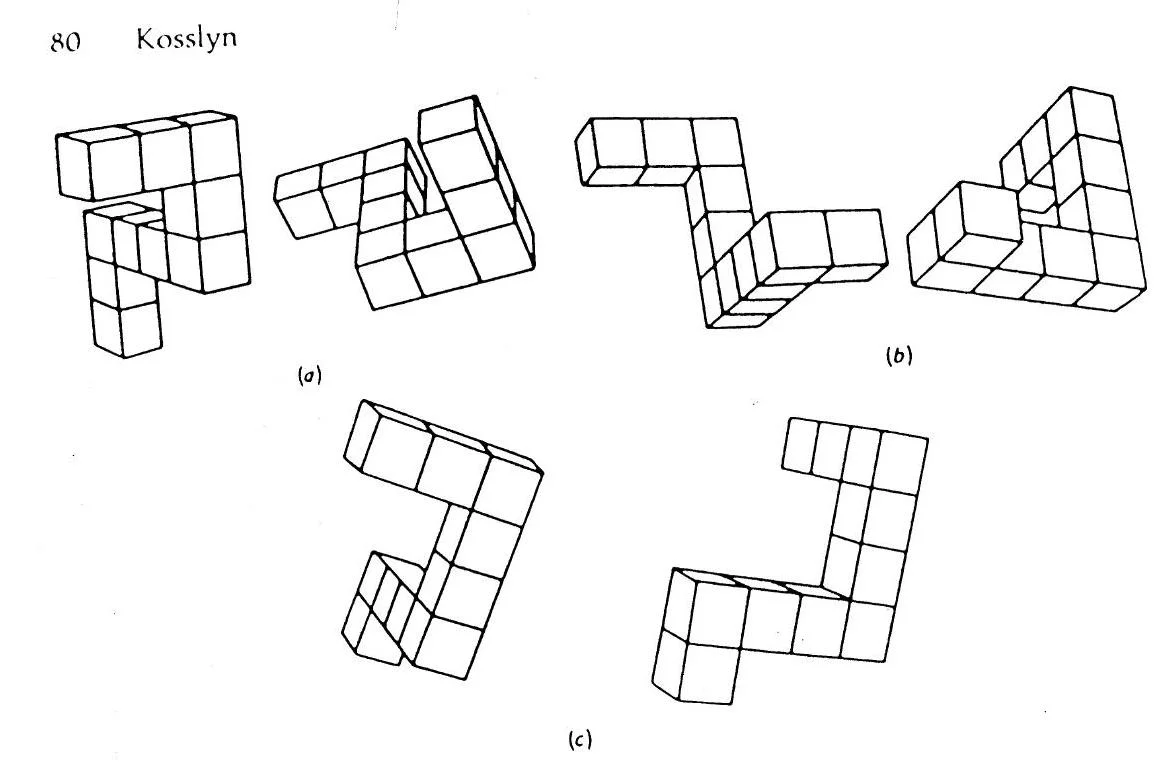 Figure (1971) by Shepard & Metzler