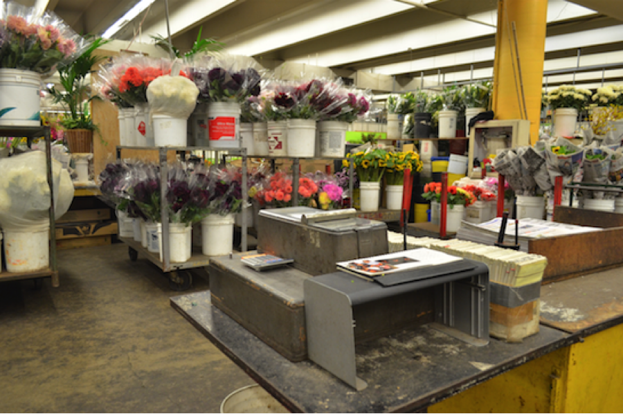 Endow Nursery Inc.