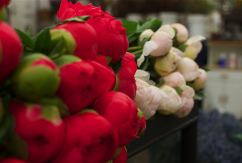 _05_Choice Flowers_01.png