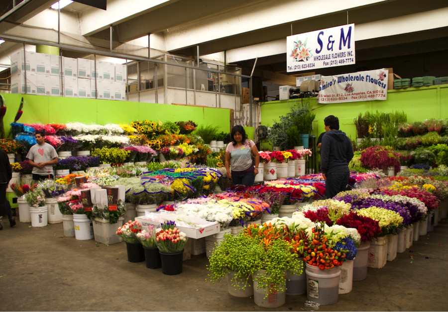 Featured image of post Wholesale Flowers Los Angeles