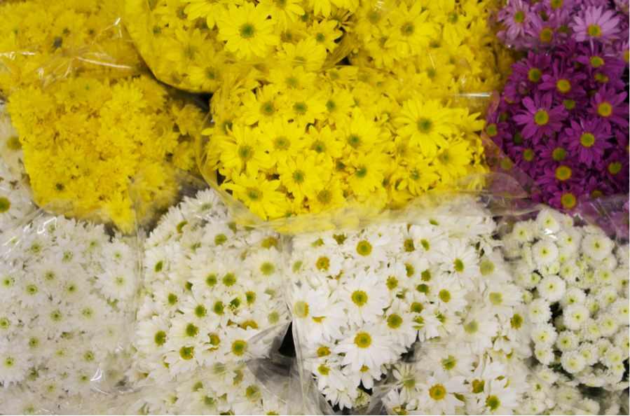 Rios Wholesale Flowers Inc.