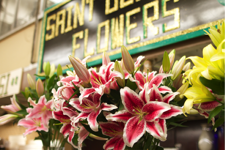 Saint Germain Flowers