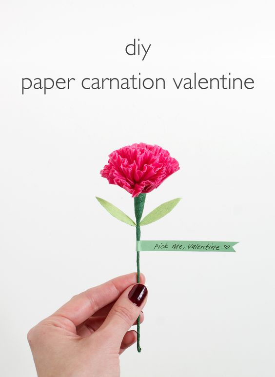 Paper Carnation