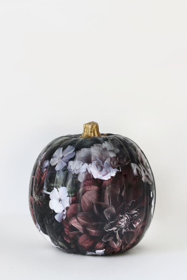 Floral Pumpkin Tutorial_edited-1.png