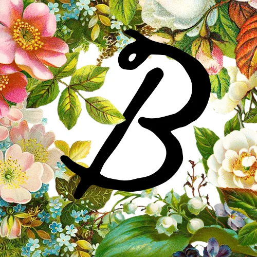 Bloom Logo.jpg