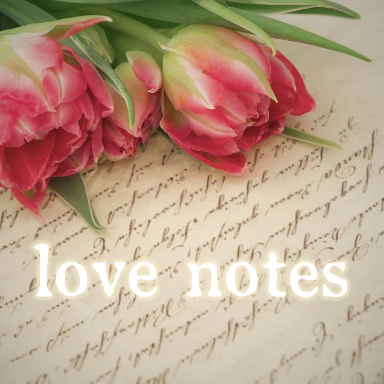 notes LL.jpg