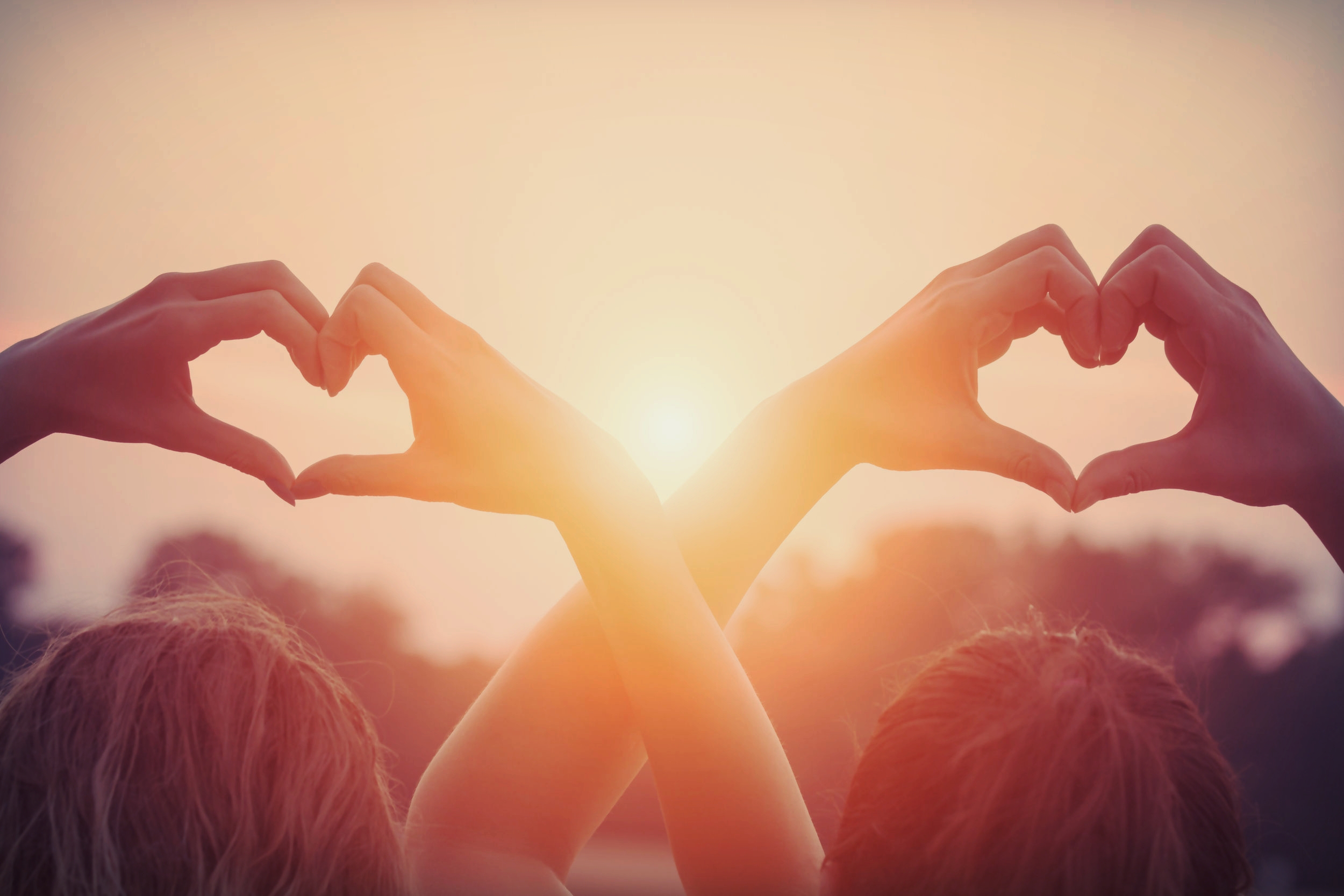 iStock-519659076.jpg