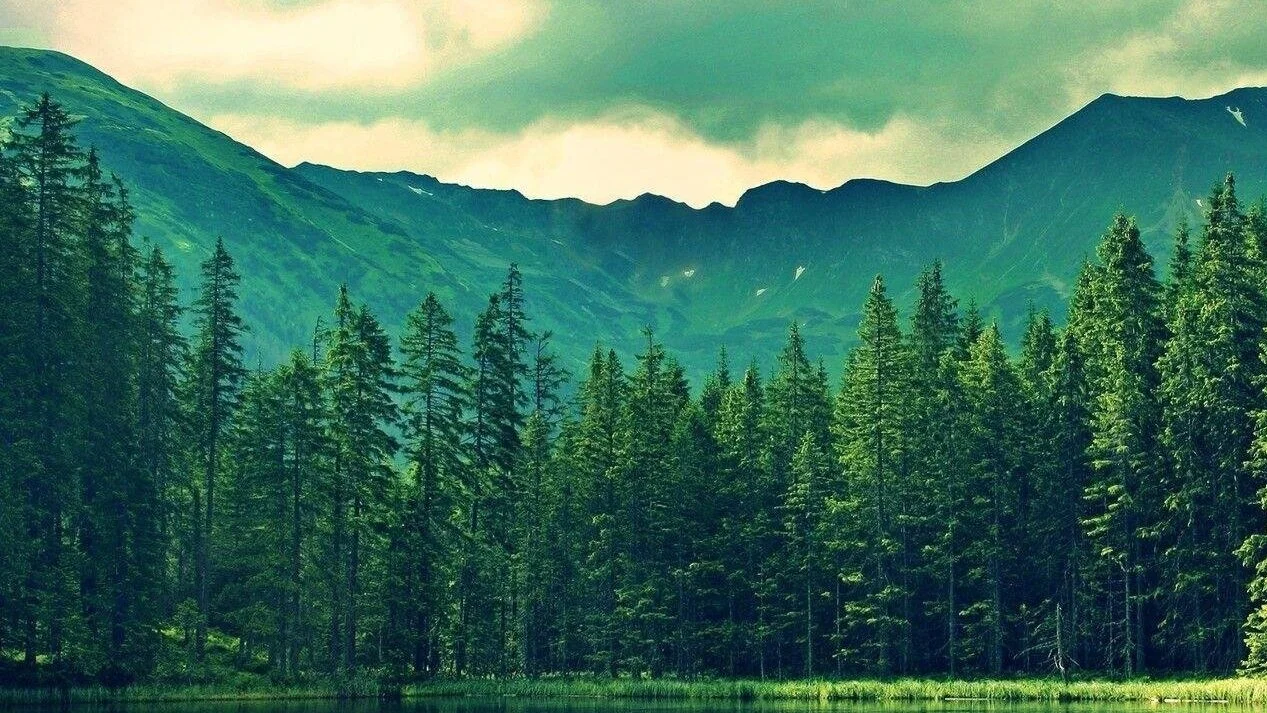earth.jpg